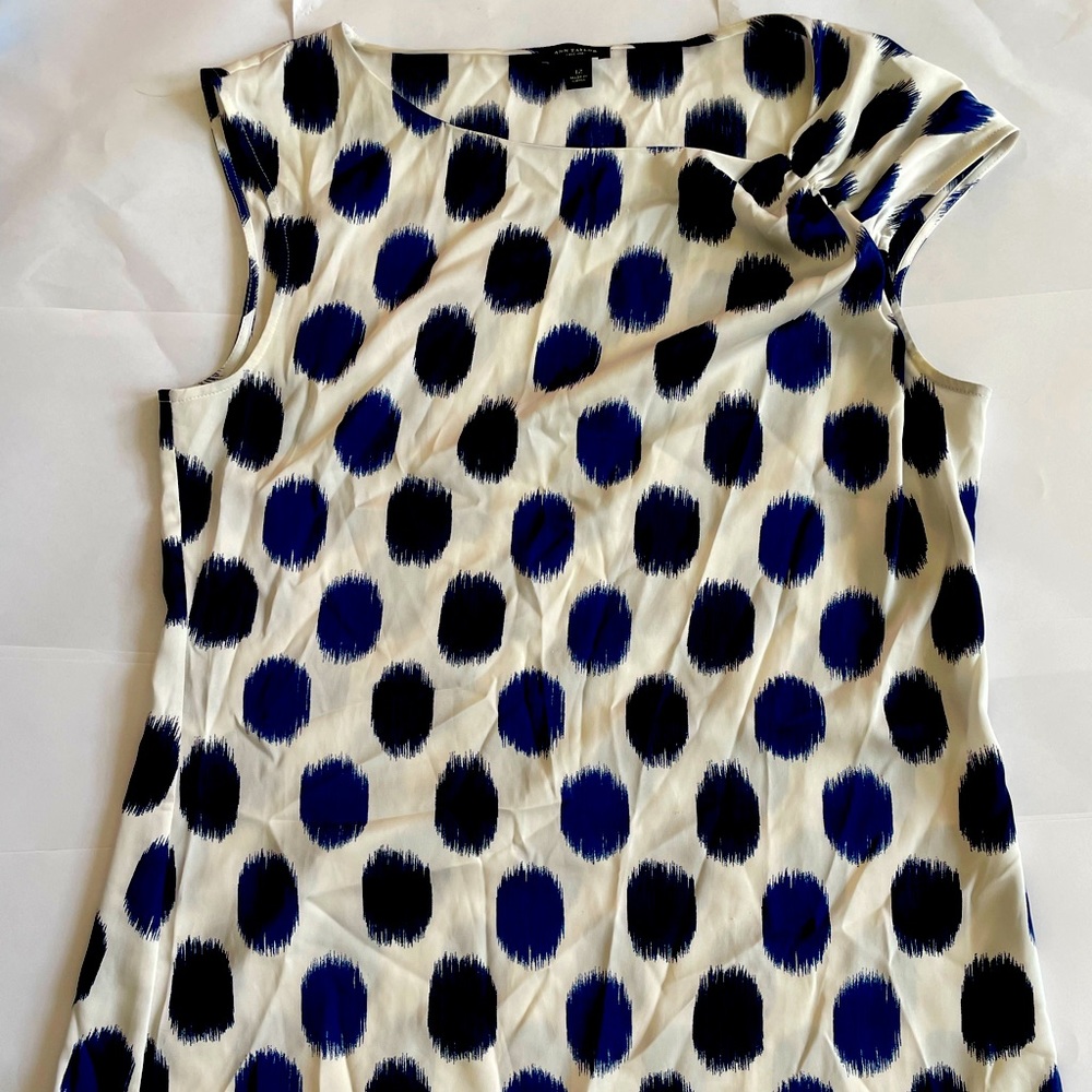 Ann Taylor Ruched Blouse